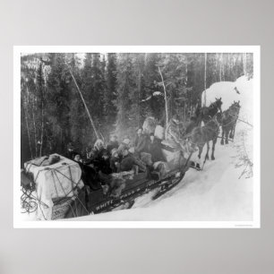 Alaska Sled Train 1903 Poster