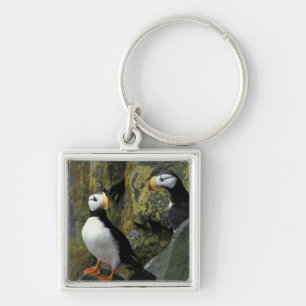 Alaska, St. Paul-eiland, de Pribilofs, gehoornd Sleutelhanger