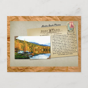 Alaska Struik Planes Briefkaart