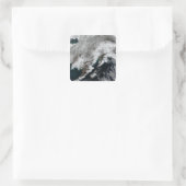 Alaska Vierkante Sticker (Tas)