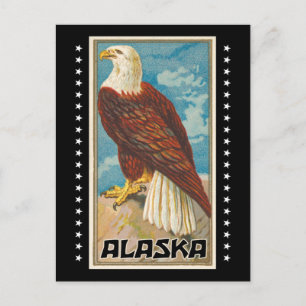 Alaska - Vintage Bald Eagle Briefkaart