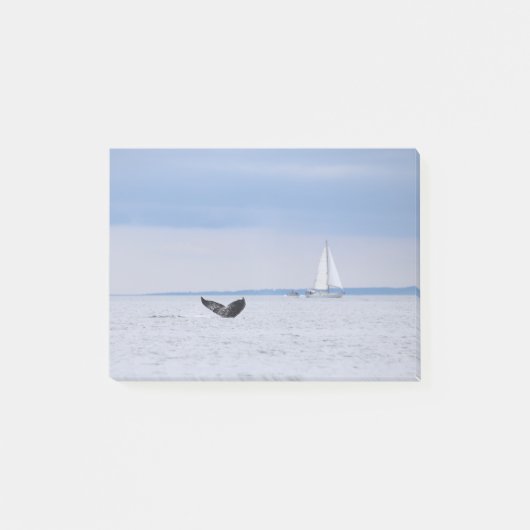 Alaska - walvis en zeilboot post-it® notes (Voorkant)