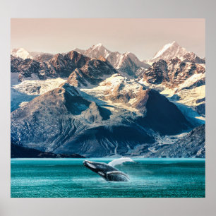 Alaska walvis kijken: boot excursie. poster