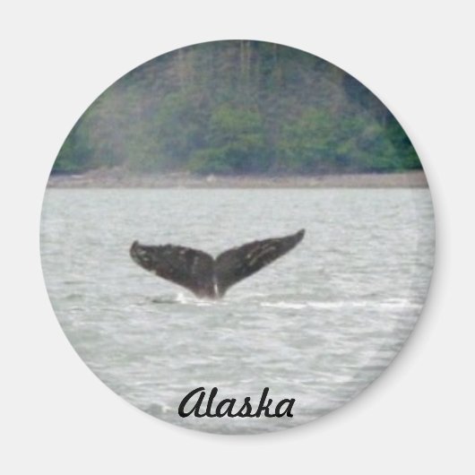 Alaska Whale Tail Magneet (Voorkant)