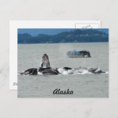 Alaska Whales Briefkaart (Voorkant / Achterkant)