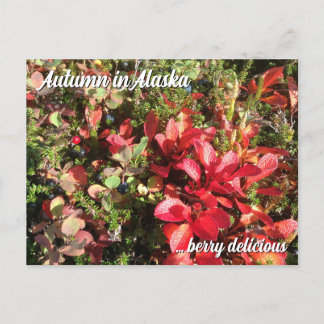 Alaska Wildberry-Briefkaart Briefkaart