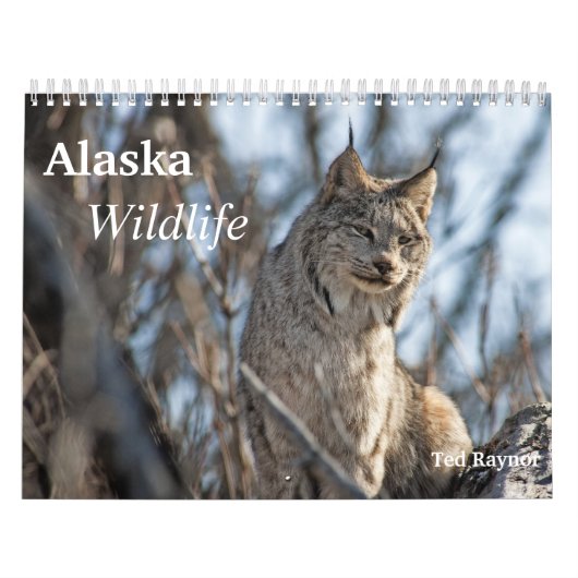 Alaska Wildlife Kalender (Hoes)