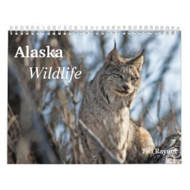 Alaska Wildlife Kalender