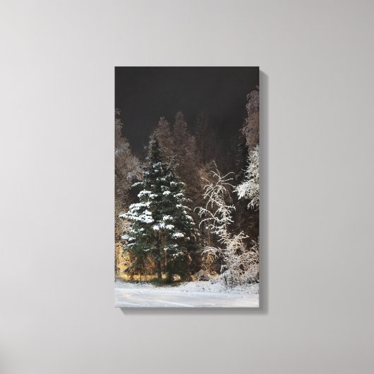 Alaska Winter Night Stretched Canvas Print (Voorkant)