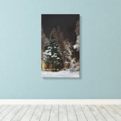 Alaska Winter Night Stretched Canvas Print (Insitu (Houten vloer))