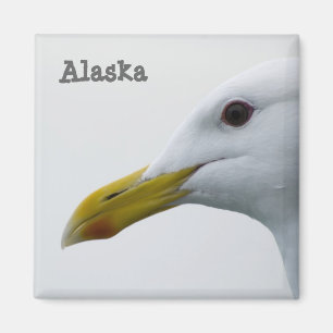 alaska zeemeeuw magneet