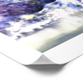 Alaskan Borealis Dance Poster (Hoek)