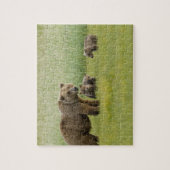 Alaskan Brown Beer Sow en drie kubussen, Ursus Legpuzzel (Verticaal)