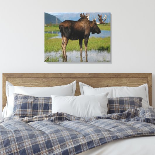 Alaskan Bull Moose in Schilderachtig Marsh Photo D Canvas Afdruk (Insitu (Slaapkamer))