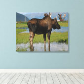 Alaskan Bull Moose in Schilderachtig Marsh Photo D Canvas Afdruk (Insitu (Houten vloer))