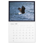 Alaskan Eagles Kalender (Jan 2027)