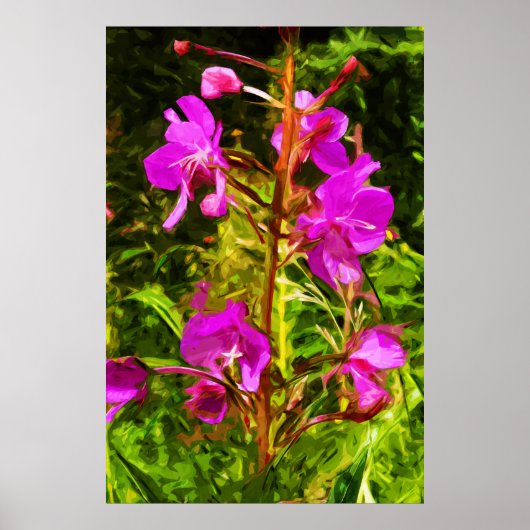 Alaskan Fireweed Pink Wildflower Abstract Poster (Voorkant)