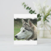 Alaskan Husky Briefkaart (Staand voorkant)