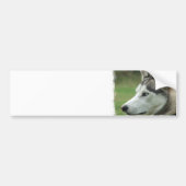 Alaskan Husky Bumpersticker (Voorkant)