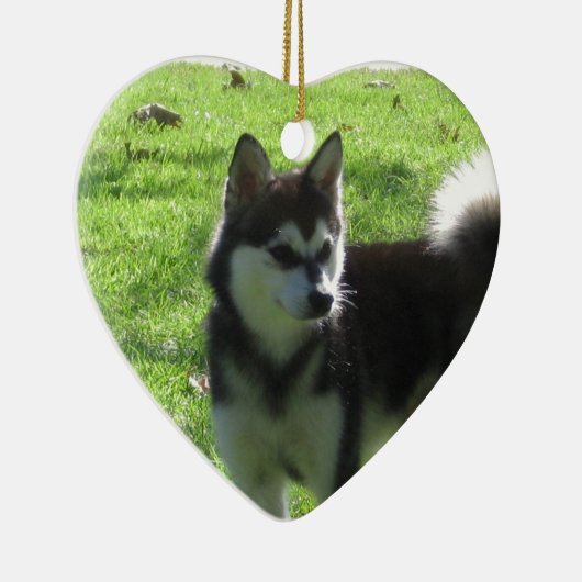 Alaskan Klee Kai Dog Keramisch Ornament (Rechts)