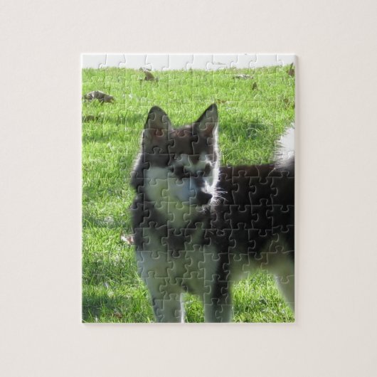 Alaskan Klee Kai Dog Legpuzzel (Verticaal)