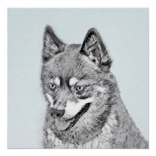 Alaskan Klee Kai Painting - Cute Original Dog Art Perfect Poster