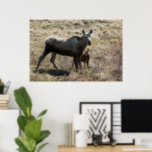 Alaskan Koe Moose met Calf Poster (Thuiskantoor)