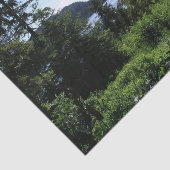 Alaskan Landscape Beauful Alaska-fotografie Tissuepapier (Detail)