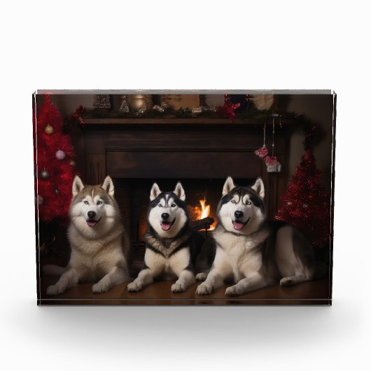 Alaskan Malamute bij de open haard Kerstmis Fotoblokken (Voorkant)
