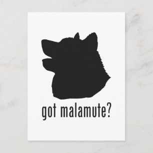 Alaskan Malamute Briefkaart