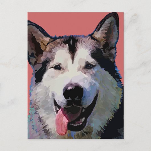 Alaskan Malamute Briefkaart (Voorkant)