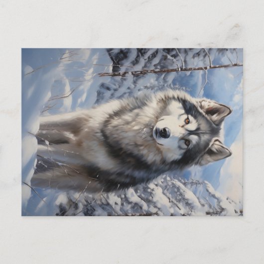 Alaskan Malamute Briefkaart (Voorkant)
