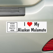 Alaskan Malamute Bumpersticker (Op auto)