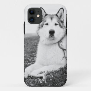 alaskan-malamute bw.png iPhone 11 hoesje