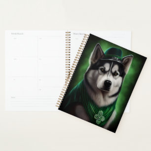 Alaskan Malamute chien en robe de fête St. Patrick