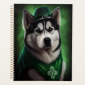 Alaskan Malamute chien en robe de fête St. Patrick (Devant)