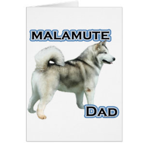 Alaskan Malamute Dad 4