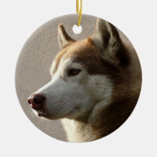 Alaskan Malamute Dog Keramisch Ornament