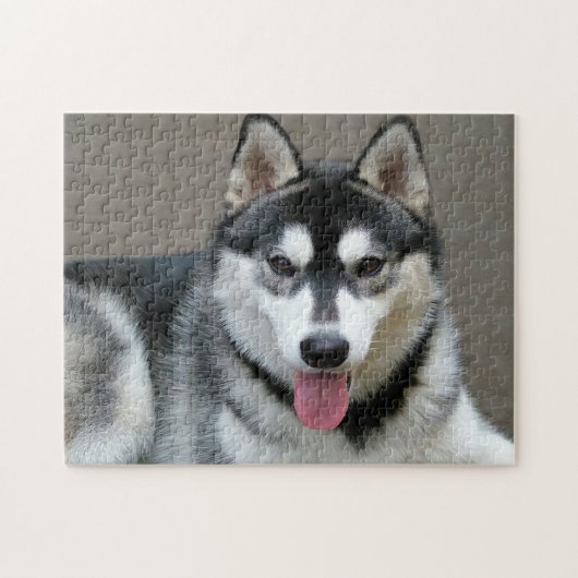 Alaskan Malamute Dog Photo Afbeelding Legpuzzel (Horizontaal)