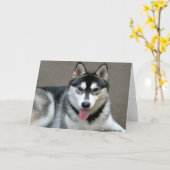 Alaskan Malamute Dogs Kaart (Gele Bloem)