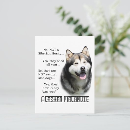 Alaskan Malamute FAQ Briefkaart (Staand voorkant)