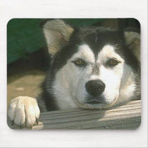 Alaskan Malamute - Gepersonaliseerd Muismat