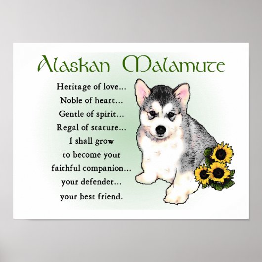 Alaskan Malamute Gifts Poster (Voorkant)