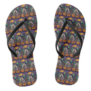 Alaskan Malamute Halloween Heks en Pompoen Teenslippers