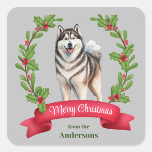 Alaskan Malamute Hond Holly Banner Kerstmis Vierkante Sticker