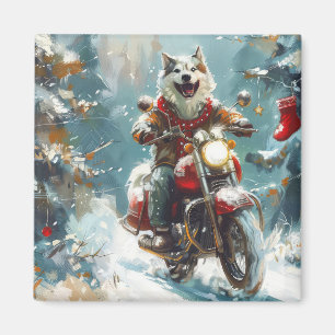 Alaskan Malamute-hond rijdt op motorfiets met Kers Magneet