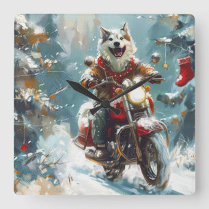 Alaskan Malamute-hond rijdt op motorfiets met Kers Vierkante Klok