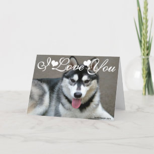 Alaskan Malamute Honden Ik Hou Van Jou Kaart