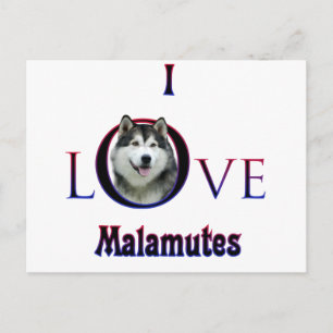 Alaskan Malamute Ik Liefde Briefkaart