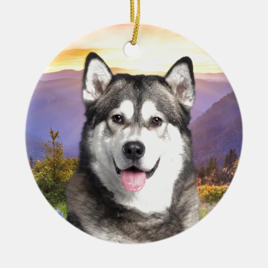 Alaskan Malamute Keramisch Ornament (Voorkant)